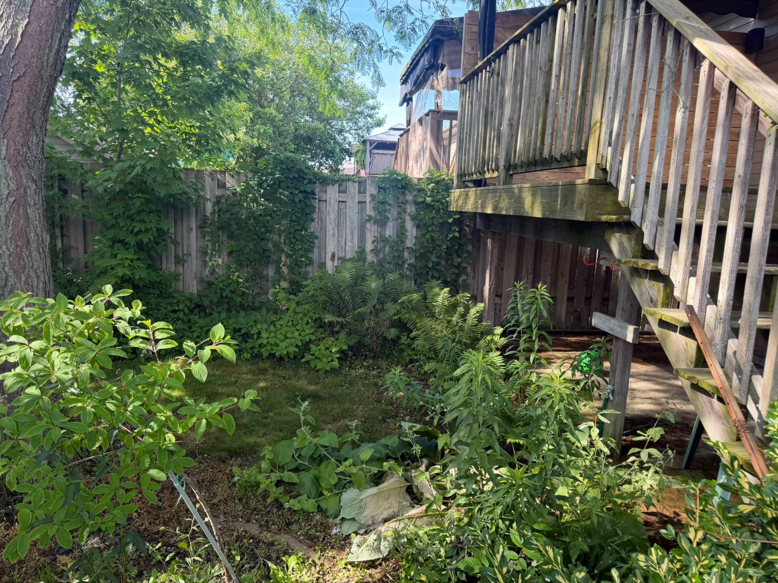 Backyard Pergola Before Cleanup