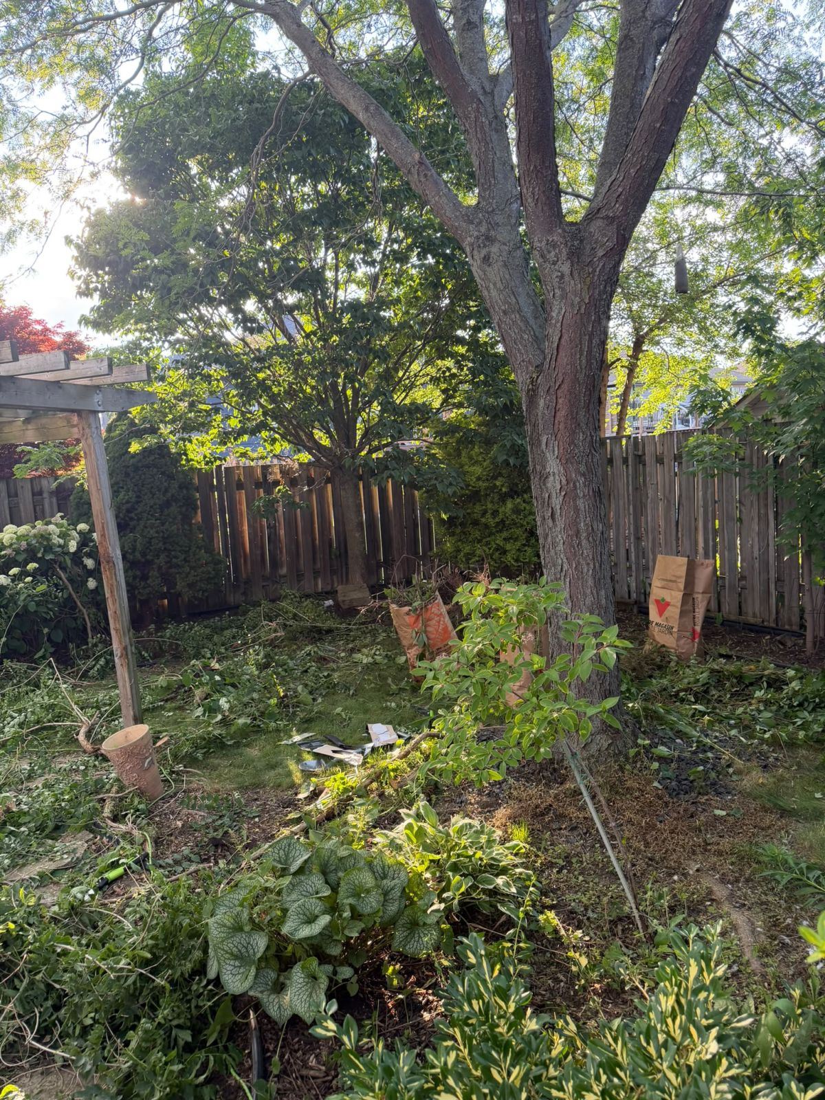 Garden Cleanup Debris Removal