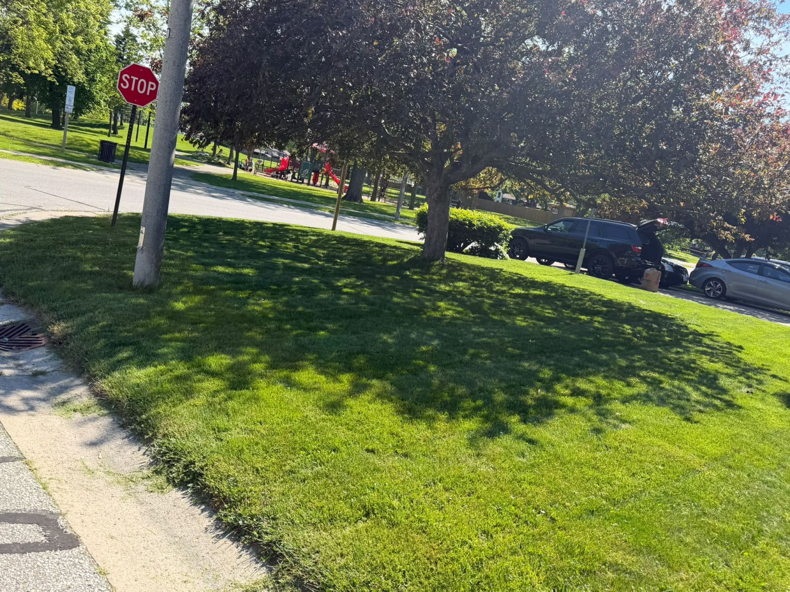 Lawn Mowing Equipment in Backyard