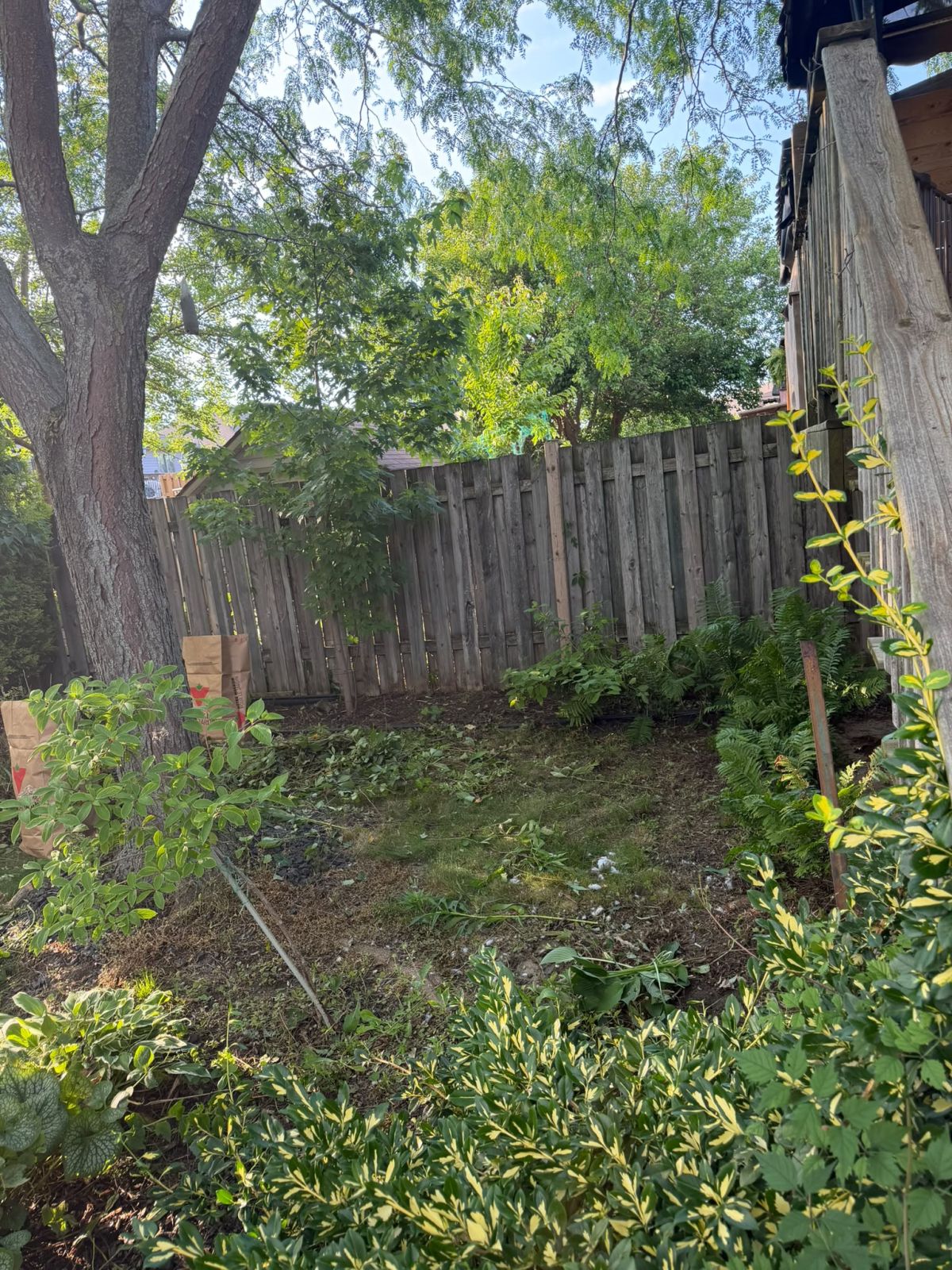 RAJ Lawn Care - freshly maintained yard