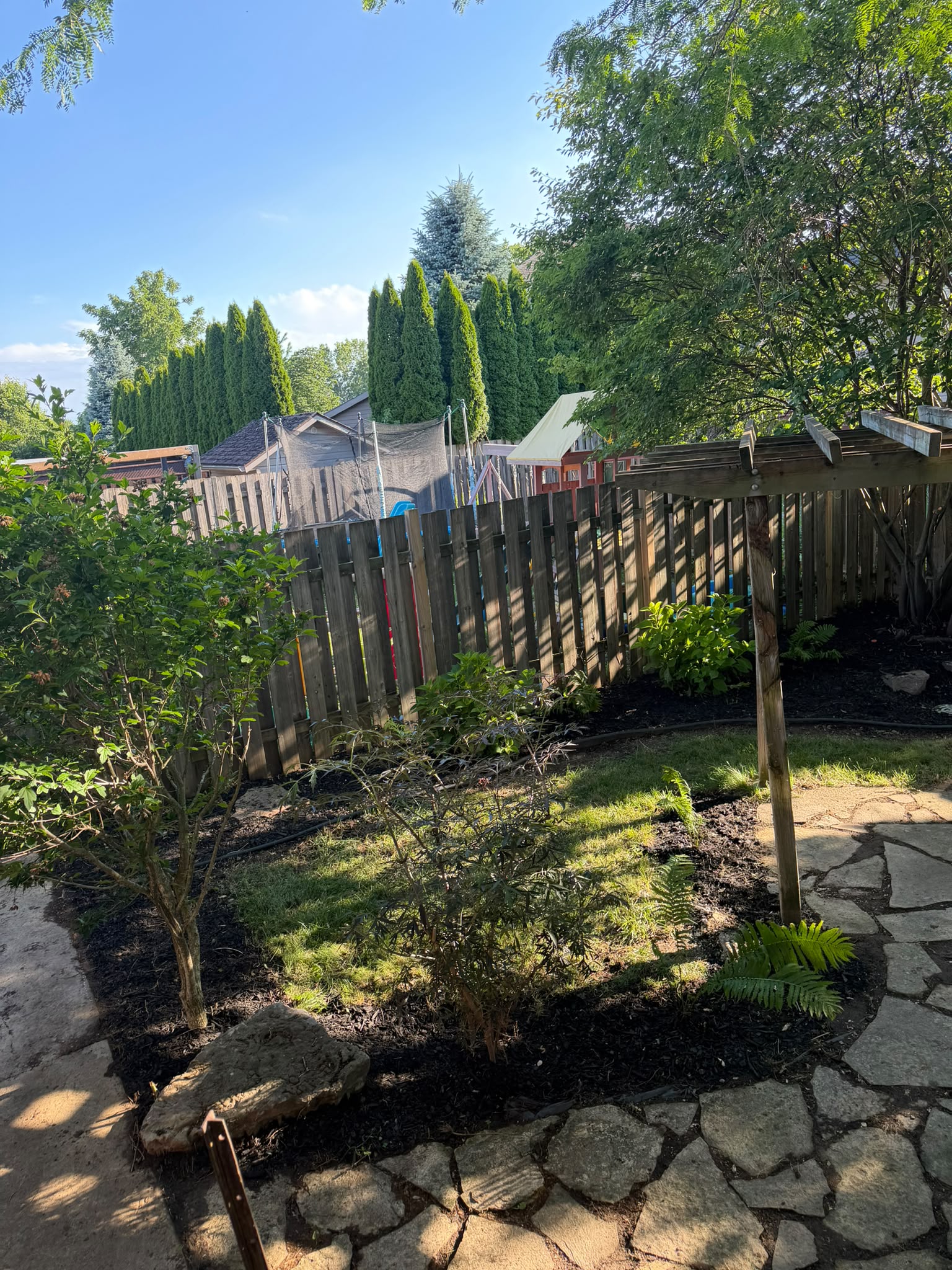 Backyard before cleanup